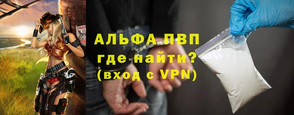 индика Богородск