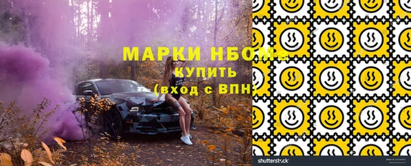 индика Богородск
