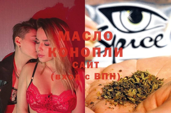 индика Богородск