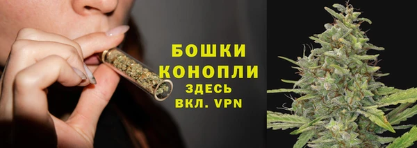 индика Богородск