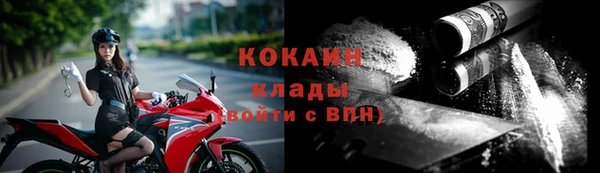 индика Богородск