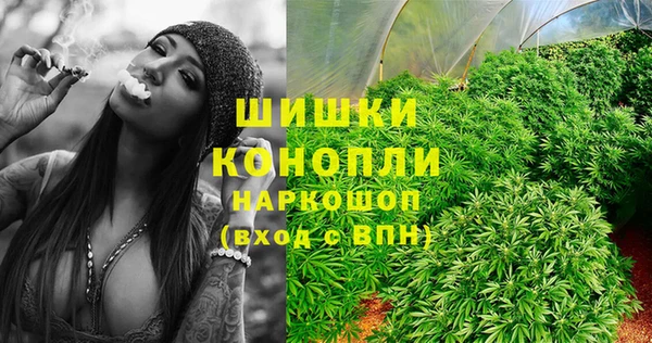 мескалин Богородицк