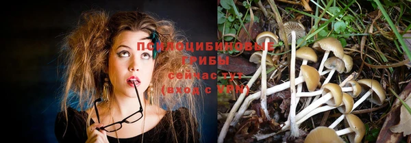 героин Богданович