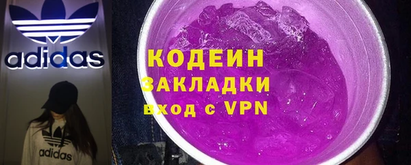 индика Богородск