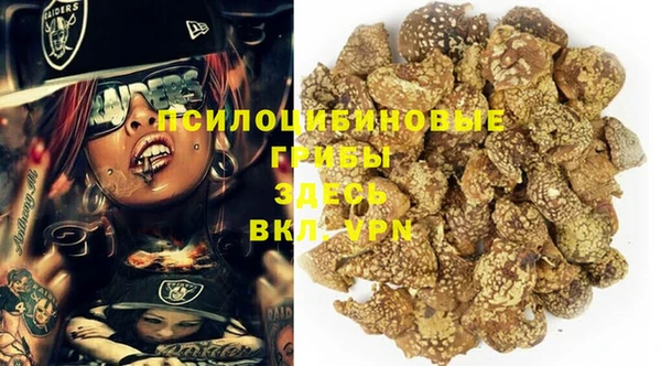 героин Богданович