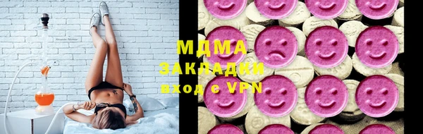 индика Богородск