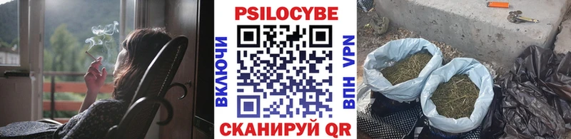 купить закладку MEGA ссылки Галлюциногенные грибы мицелий Онега